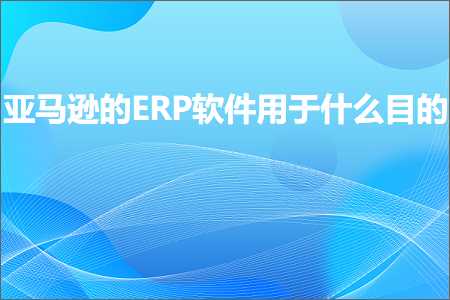 跨境电商知识:亚马逊的ERP软件用于什么目的+